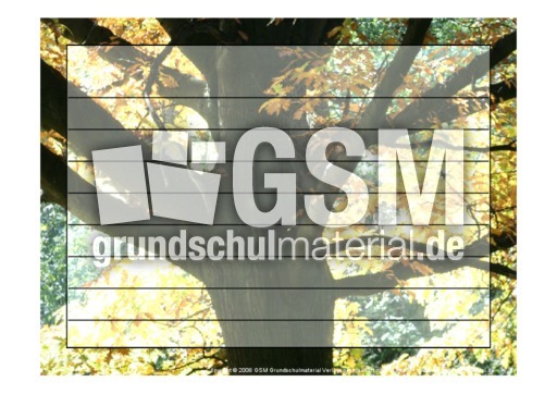 Foto-Schmuckblatt-Bäume-12.pdf